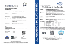 Certificate-FirstMold Awardzs