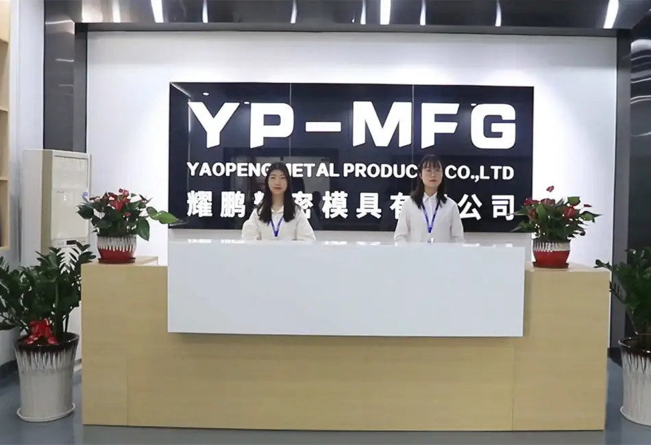 First Mold Mexico Factory Start Operation